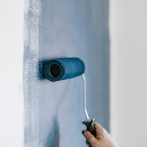 iPainter Wall Painting