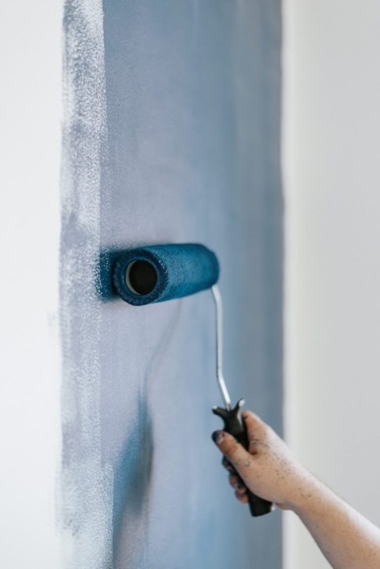 iPainter Wall Painting