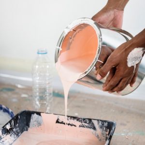 iPainter Wall Painting