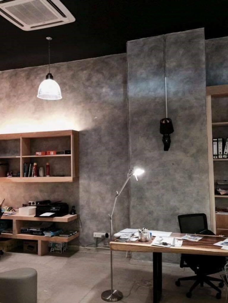 iPainter Wall Painting
