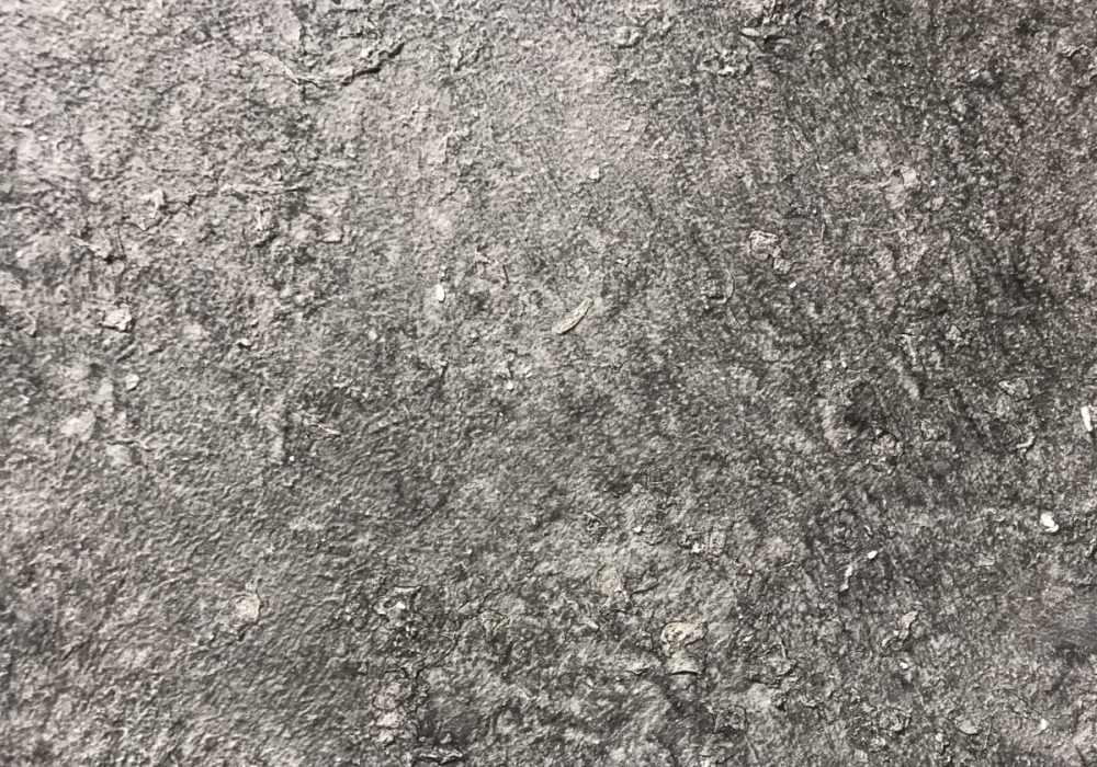 IPainter Texture Wall Painting